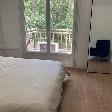Le Nid D'aiguelongue Parking Wifi Climatisation Terrasse Apartment *